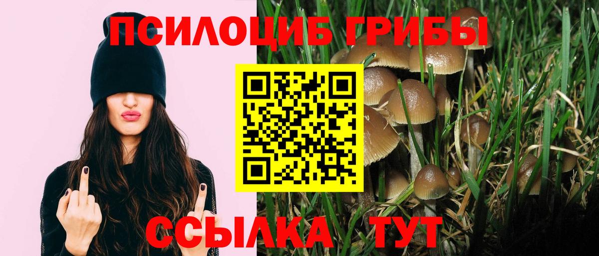Минусинск  Галлюциногенные грибы Psilocybine cubensis  Вход с VPN 